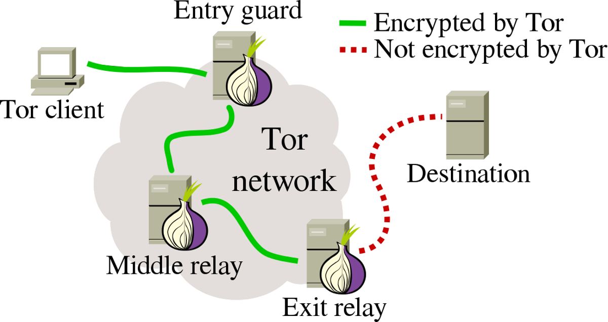 Tor Network Architecture